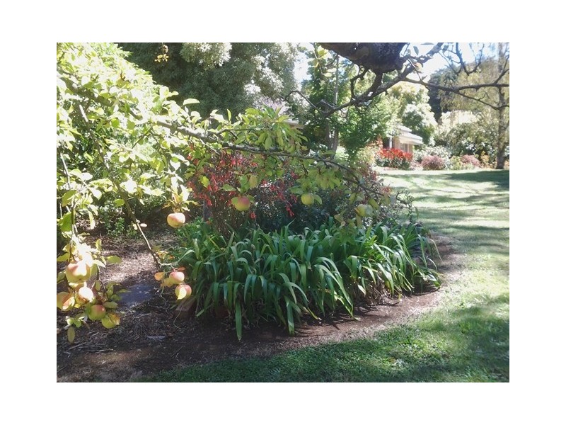 815 Allambee – Childers Road, Thorpdale VIC 3835