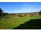 1880 Grand Ridge Rd, Trida VIC 3953