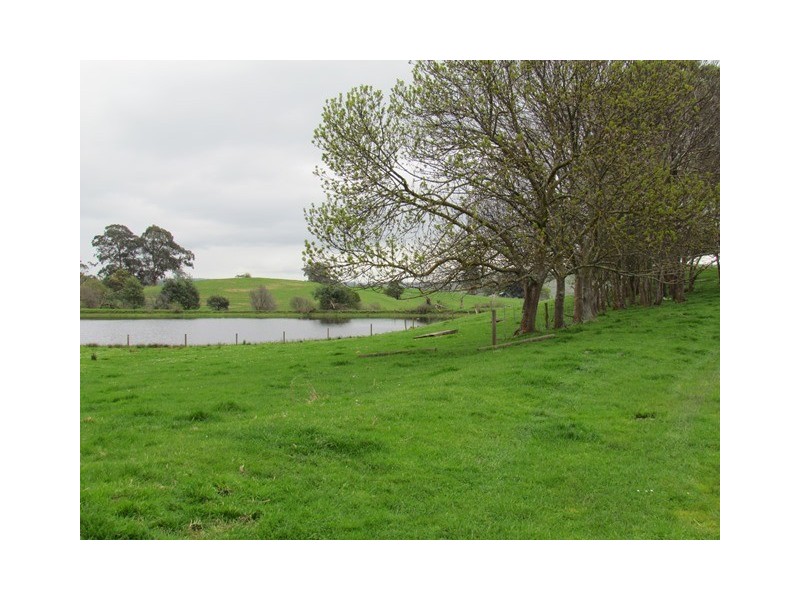 211 Mountain View Road, Mountain View VIC 3988