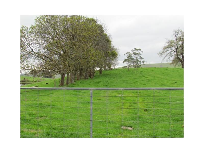 211 Mountain View Road, Mountain View VIC 3988