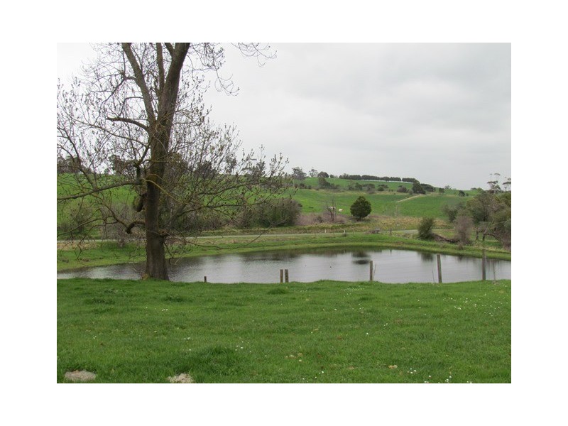 211 Mountain View Road, Mountain View VIC 3988