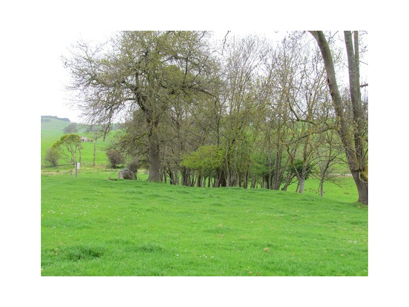 211 Mountain View Rd, Mountain View VIC 3988