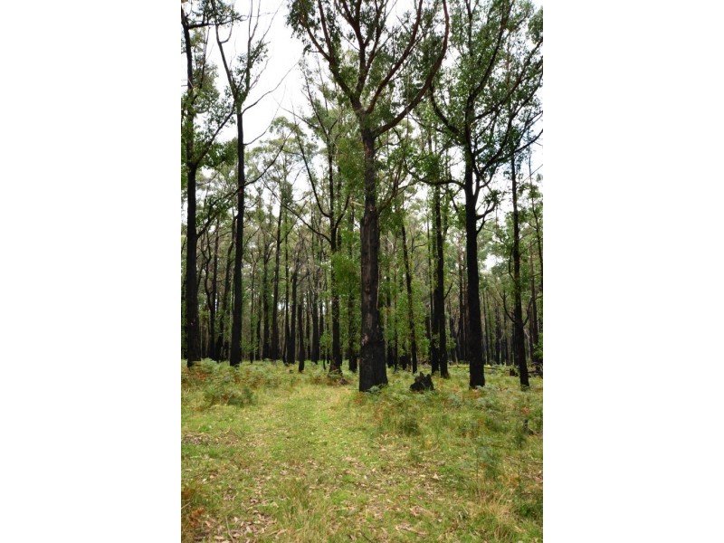 490 Forresters Rd, Hallston VIC 3953