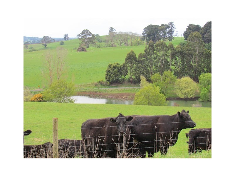 999 Morwell -Thorpdale Rd, Thorpdale VIC 3835