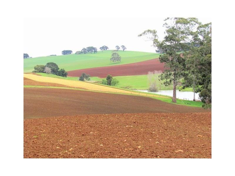 999 Morwell -Thorpdale Rd, Thorpdale VIC 3835