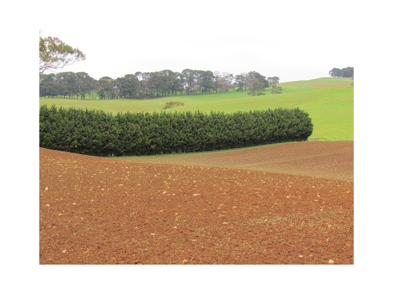 999 Morwell -Thorpdale Rd, Thorpdale VIC 3835