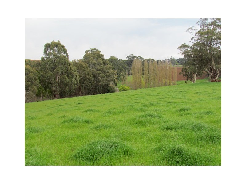 999 Morwell -Thorpdale Rd, Thorpdale VIC 3835