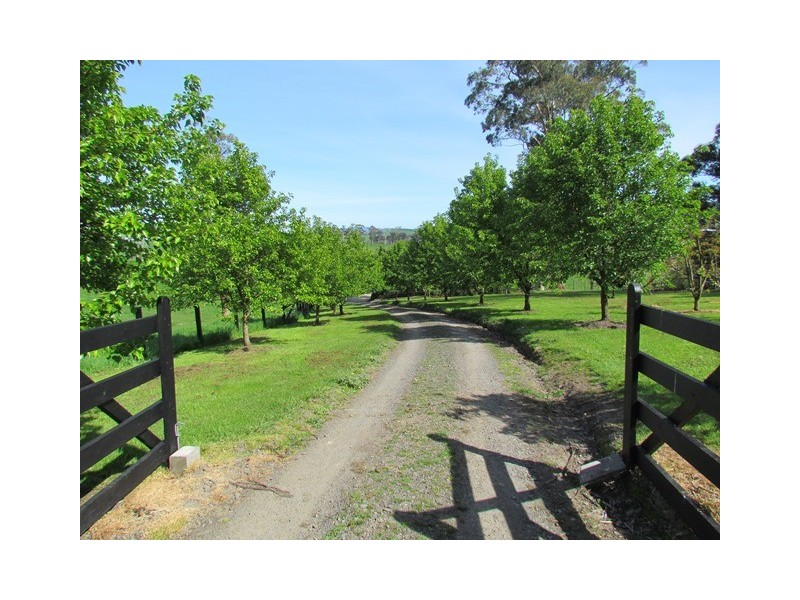 110 Mason Road, Jindivick VIC 3818