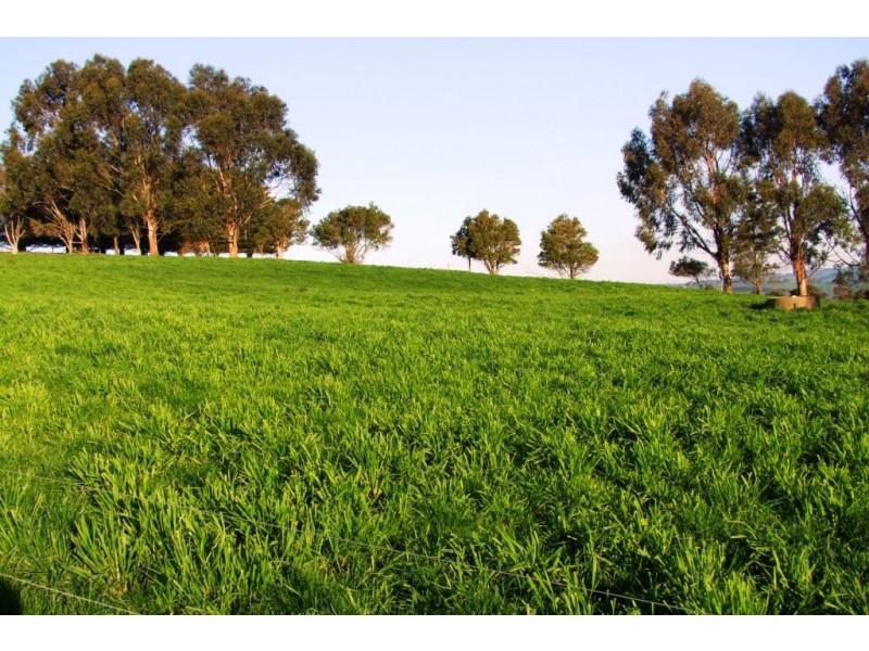 Leongatha North VIC 3953