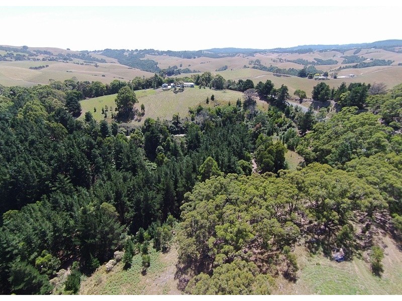 3640 South Gippsland Hwy, Foster VIC 3960