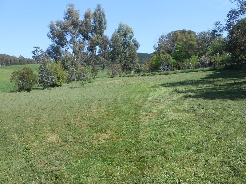 21 Coopers Rd, Foster VIC 3960