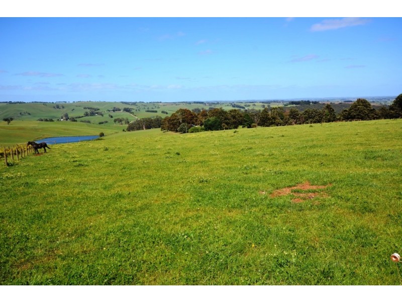 330 Mount Vernon Rd, Berrys Creek VIC 3953