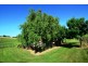 4255 Strzelecki Hwy, Berrys Creek VIC 3953