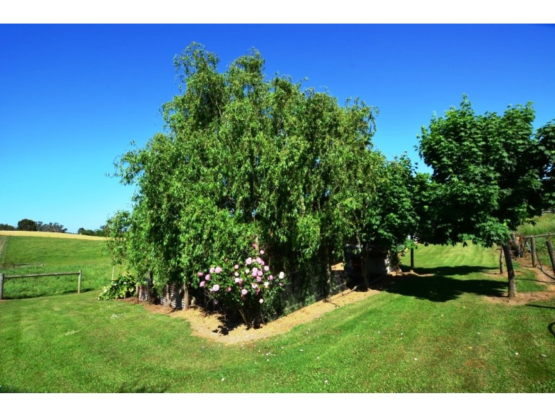 4255 Strzelecki Hwy, Berrys Creek VIC 3953