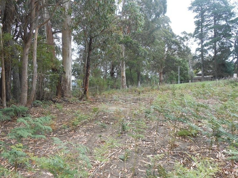 1 Binginwarri School Rd, Binginwarri VIC 3966