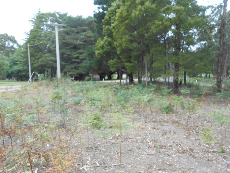 1 Binginwarri School Rd, Binginwarri VIC 3966