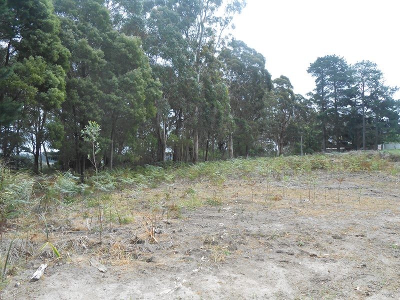 1 Binginwarri School Rd, Binginwarri VIC 3966