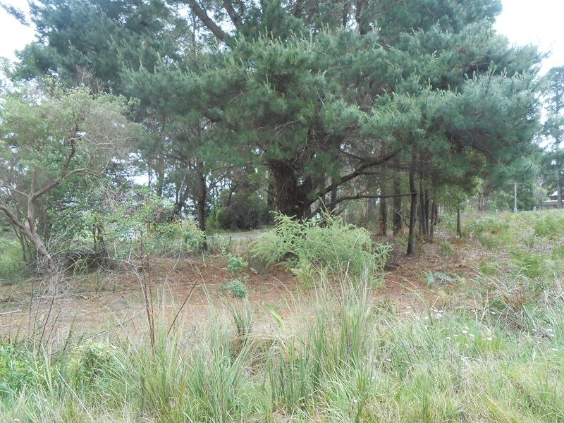 1 Binginwarri School Rd, Binginwarri VIC 3966