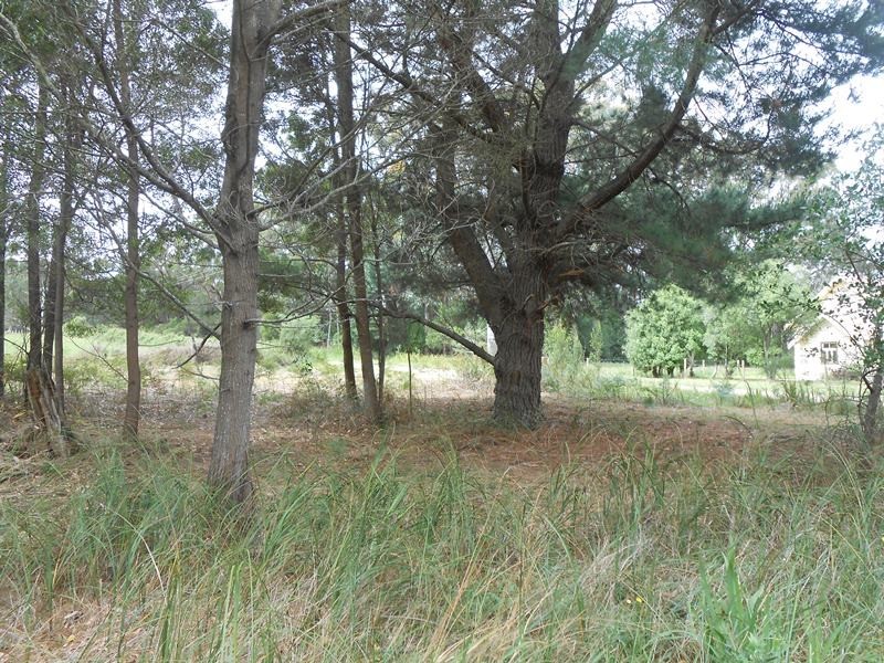 1 Binginwarri School Rd, Binginwarri VIC 3966