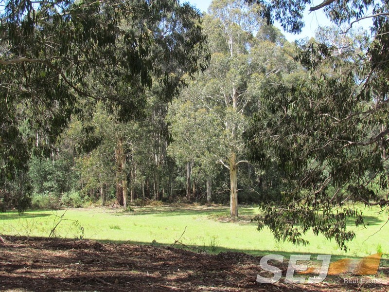 1980 Mt Baw Baw Tourist Road, Icy Creek VIC 3833