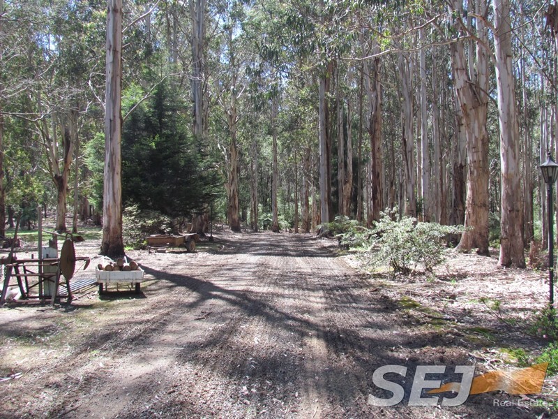 1980 Mt Baw Baw Tourist Road, Icy Creek VIC 3833
