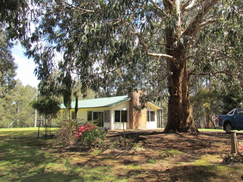 1980 Mt Baw Baw Tourist Road, Icy Creek VIC 3833