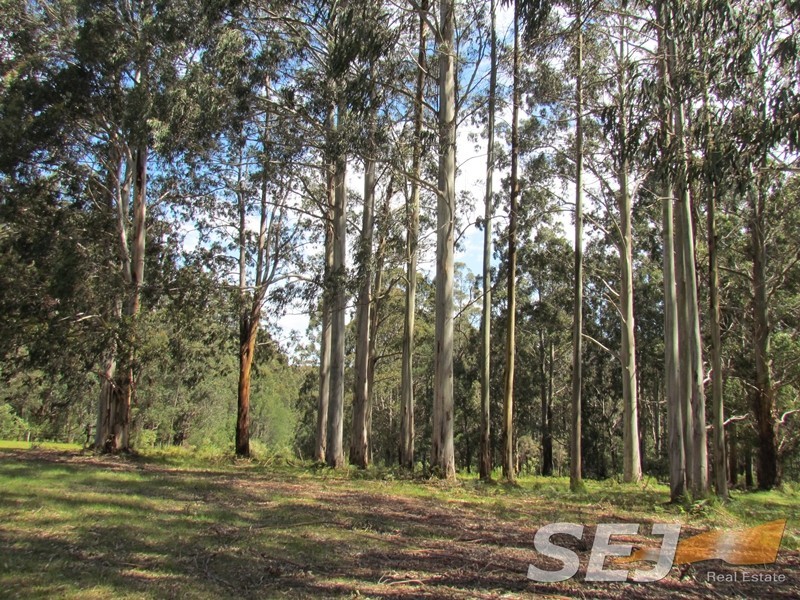 1980 Mt Baw Baw Tourist Road, Icy Creek VIC 3833