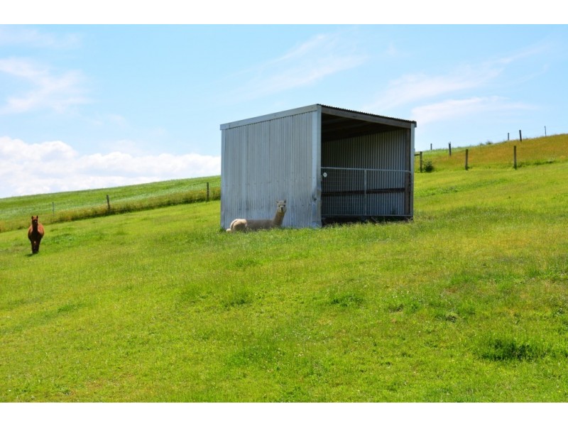 825 Nerrena Rd, Nerrena VIC 3953