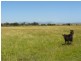 Waratah North VIC 3959