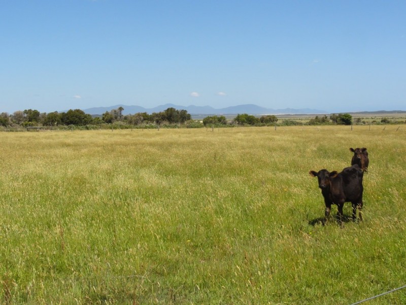 Waratah North VIC 3959