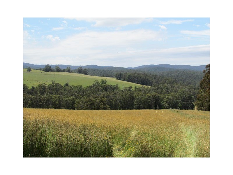 7C Russell Creek Road, Hill End VIC 3825