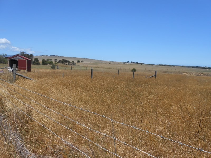 21 Yaringa Court, Yanakie VIC 3960