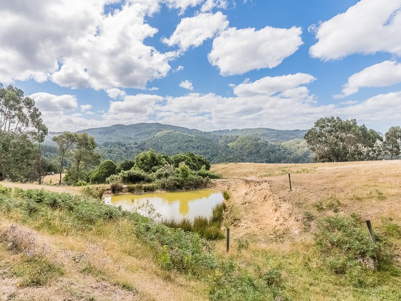 205 Mount Best Tin Mine Rd, Toora North VIC 3962