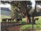 70 Browns Road, Moondarra VIC 3825