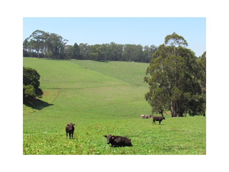 70 Browns Road, Moondarra VIC 3825