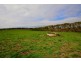 3910 Meeniyan – Promontory Rd, Yanakie VIC 3960