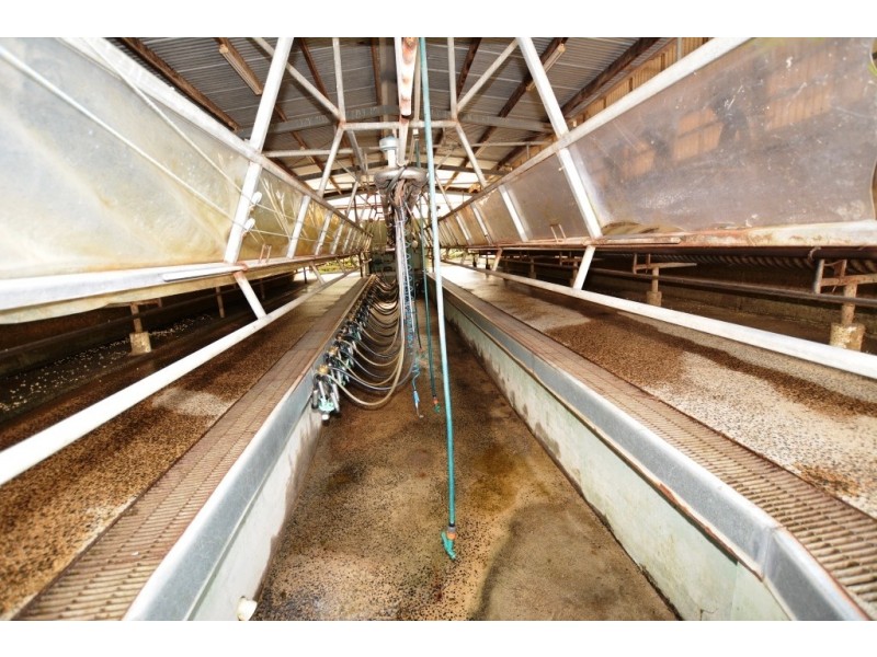 3910 Meeniyan – Promontory Rd, Yanakie VIC 3960