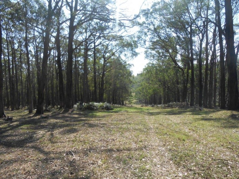 Lot 1 / 355 Boys Road, Fish Creek VIC 3959