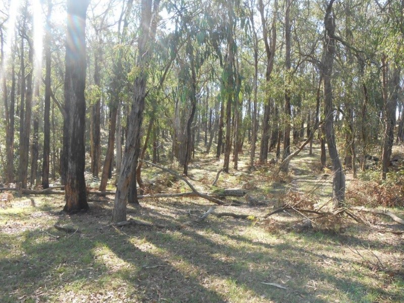 Lot 1 / 355 Boys Road, Fish Creek VIC 3959