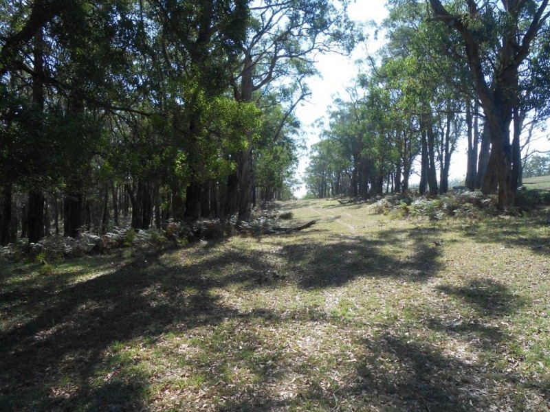 Lot 1 / 355 Boys Road, Fish Creek VIC 3959