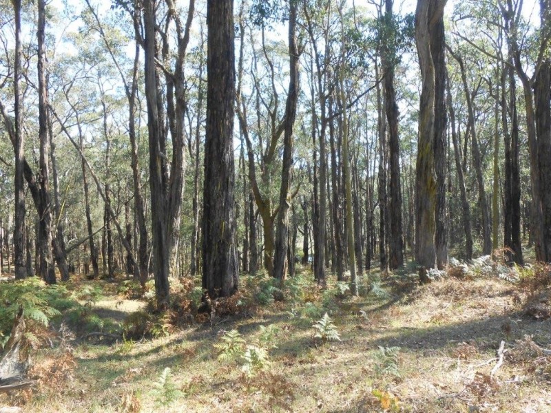 Lot 1 / 355 Boys Road, Fish Creek VIC 3959