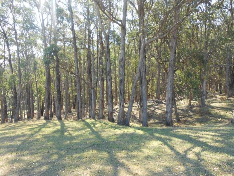 Lot 1 / 355 Boys Road, Fish Creek VIC 3959