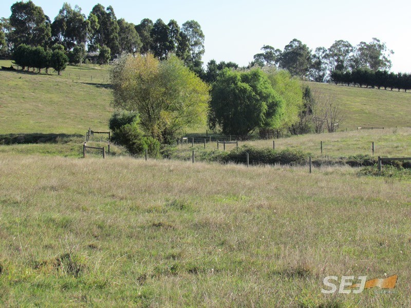 105 Tonkin Road, Labertouche VIC 3816