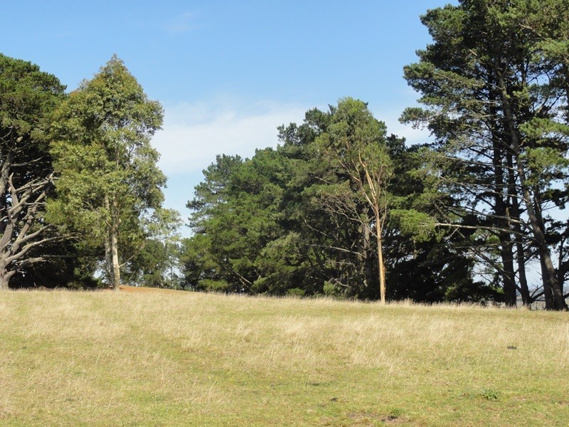 223 O’Gradys Ridge Road, Foster VIC 3960