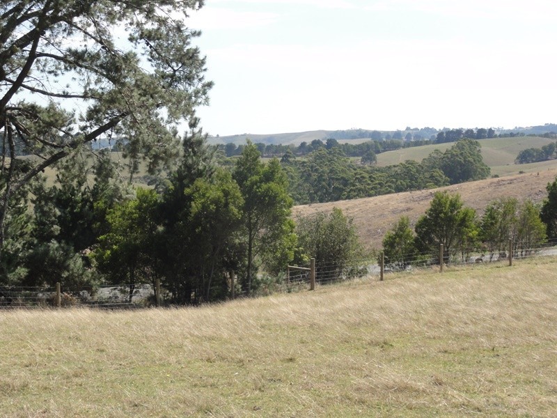 223 O’Gradys Ridge Road, Foster VIC 3960