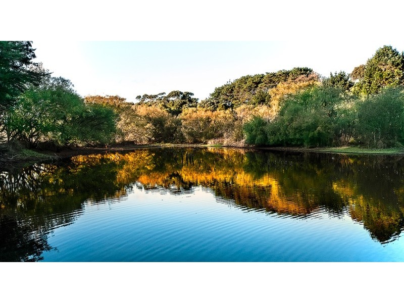 225 Bartons Road, Buffalo VIC 3958