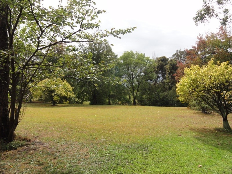 225 Bartons Road, Buffalo VIC 3958