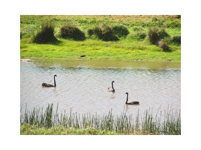 103, 111 Dingley Dell Road, Thorpdale VIC 3835