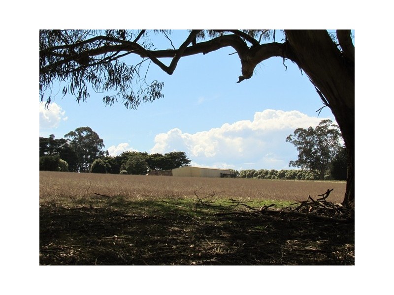 103, 111 Dingley Dell Road, Thorpdale VIC 3835