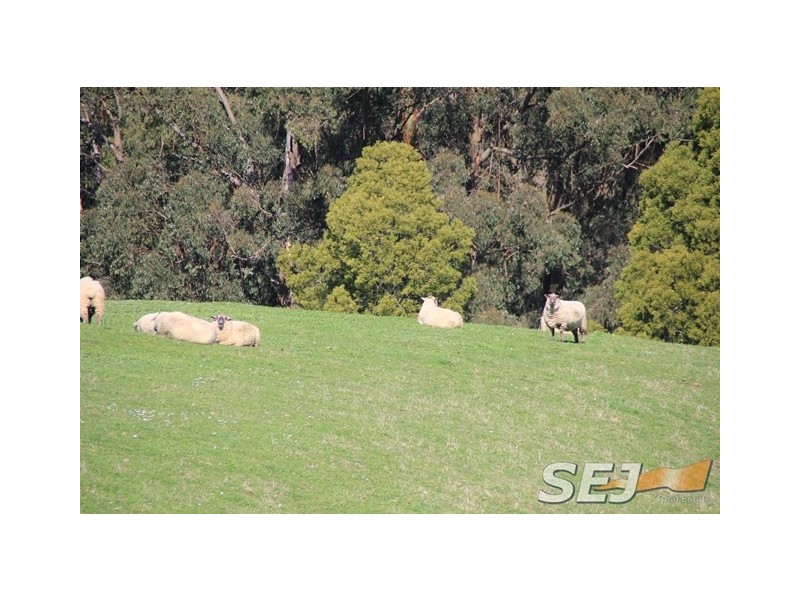 327 Ferndale Road, Ferndale VIC 3821